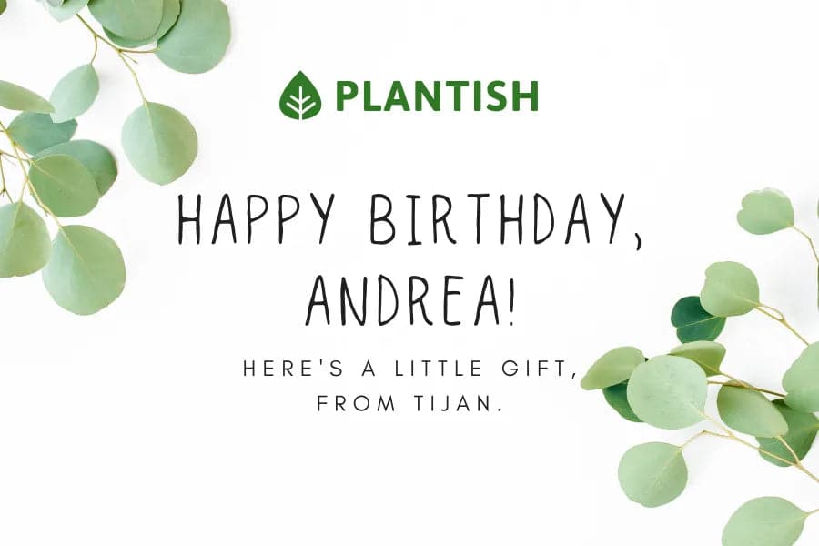 Digital Gift Card - Happy Birthday, Andrea! – Plantish